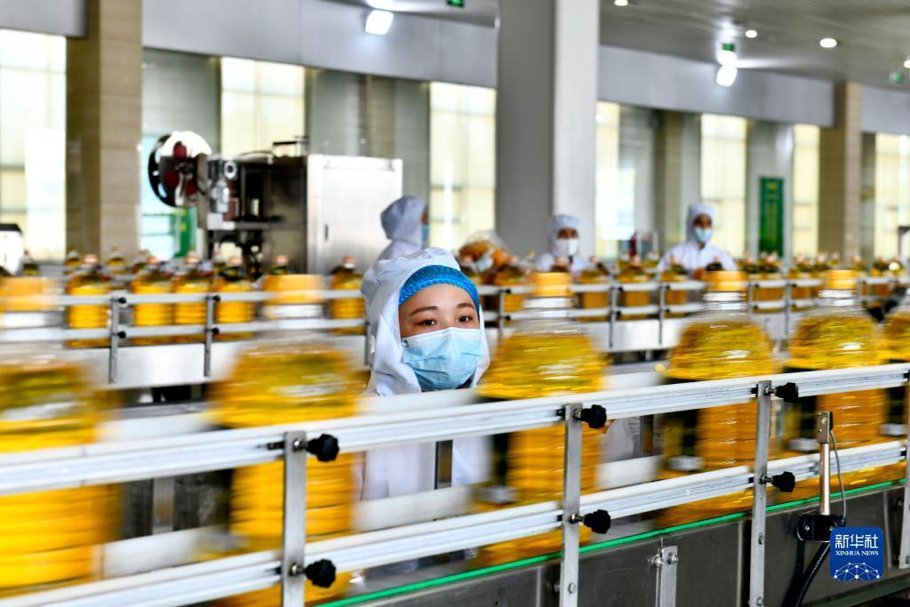 mg帐号登录